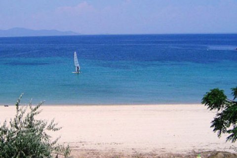 38500m² Land en Chalkidiki, Greece No. 60645 2