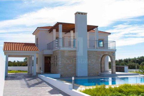 3 dormitorios House en Pegeia, Cyprus No. 40009 13