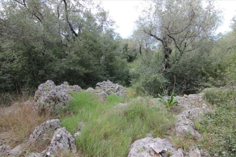 8000m² Land en Corfu, Greece No. 58200 2