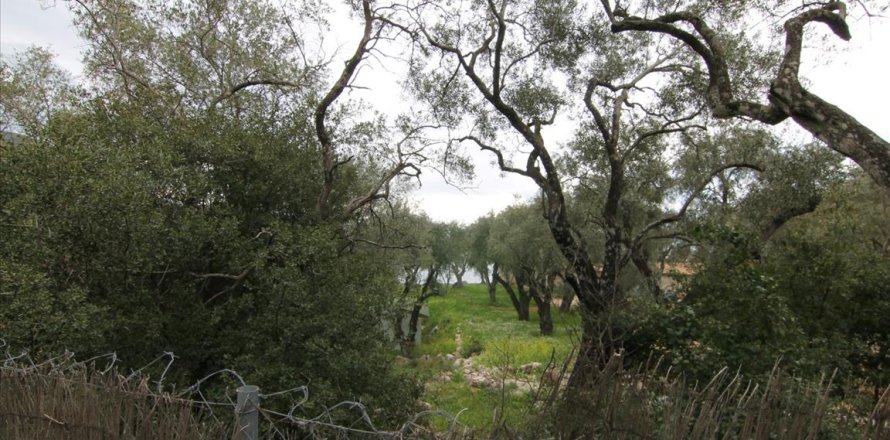 10000m² Land in Corfu, Greece No. 58201