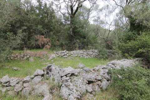 10000m² Land in Corfu, Greece No. 58201 3