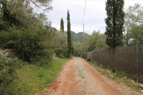 10000m² Land in Corfu, Greece No. 58201 2