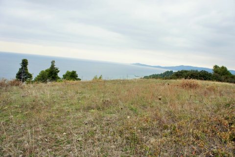 55000m² Land en Chalkidiki, Greece No. 58005 1