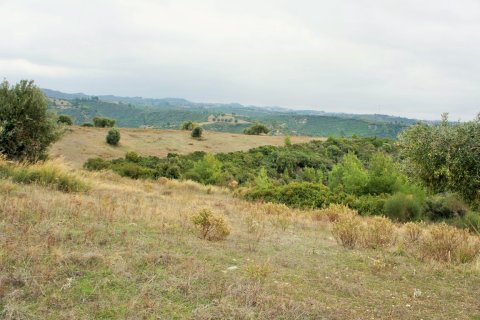 55000m² Land en Chalkidiki, Greece No. 58005 6