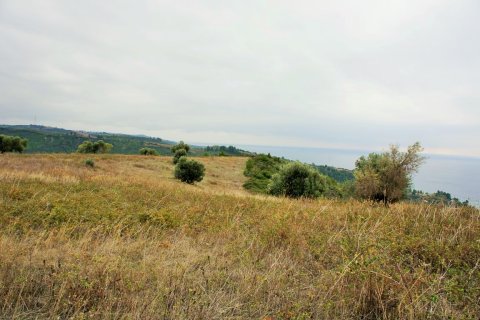 55000m² Land in Chalkidiki, Greece No. 58005 9