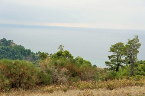 55000m² Land en Chalkidiki, Greece No. 58005 4