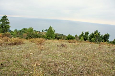 55000m² Land à Chalkidiki, Greece No. 58005 2