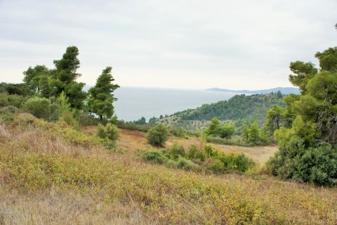 55000m² Land en Chalkidiki, Greece No. 58005 8