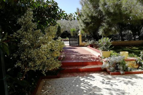 8 bedrooms Villa in Palaia Fokaia, Greece No. 58199 5