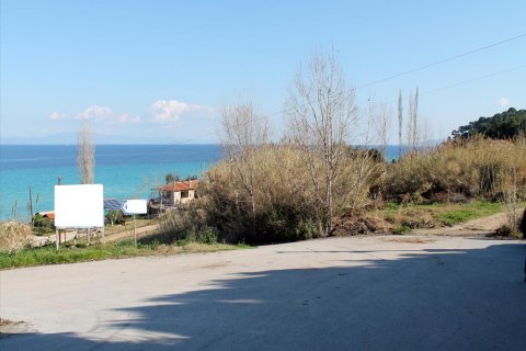 10500m² Land in Chalkidiki, Greece No. 60520 3