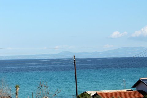 10500m² Land en Chalkidiki, Greece No. 60520 1