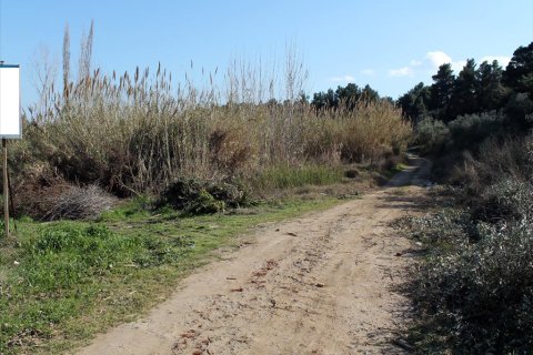 10500m² Land in Chalkidiki, Greece No. 60520 5