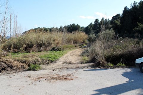 10500m² Land à Chalkidiki, Greece No. 60520 4