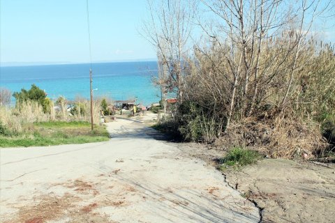 10500m² Land in Chalkidiki, Greece No. 60520 2