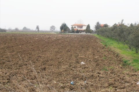 4862m² Land à Katerini, Greece No. 60518 2