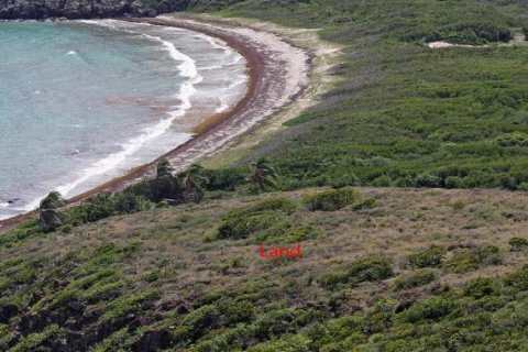 Land en Saint George Basseterre, Saint Kitts and Nevis No. 61540 3