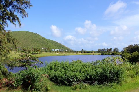 5 habitaciones Condominio  en Frigate Bay, Saint Kitts and Nevis No. 61545 4