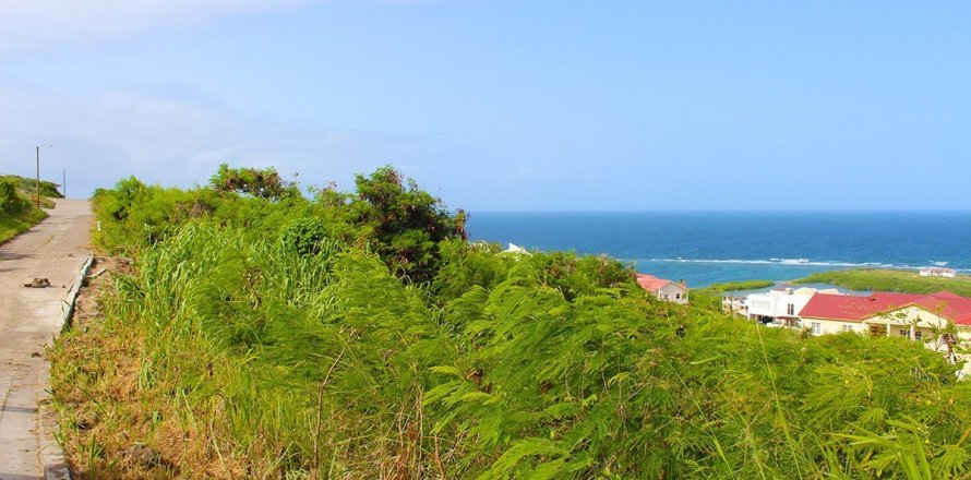 938.79m² Land in Frigate Bay, Saint Kitts and Nevis No. 61542