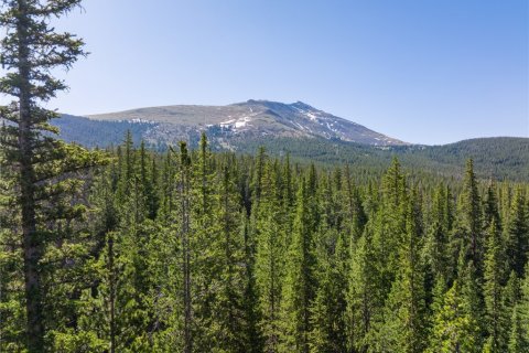 Land à Breckenridge, USA No. 62350 6