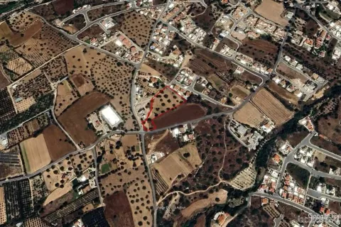 7693m² Land in Tala, Cyprus No. 35620 2