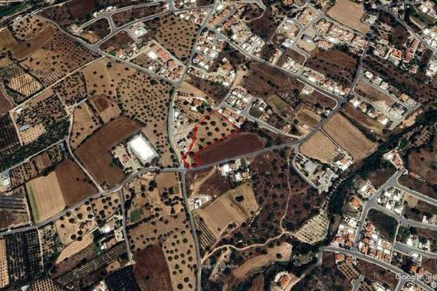 7693m² Land en Tala, Cyprus No. 35620 2