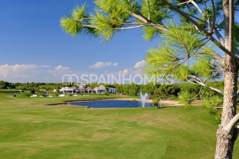 3 chambres Villa à San Miguel de Salinas, Spain No. 26758 17