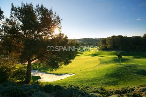 3 chambres Villa à San Miguel de Salinas, Spain No. 26758 14