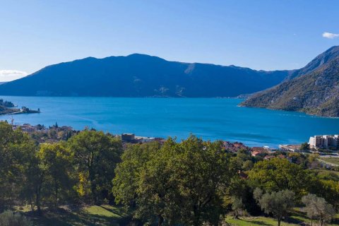 47761m² Land in Risan, Montenegro No. 67019 6