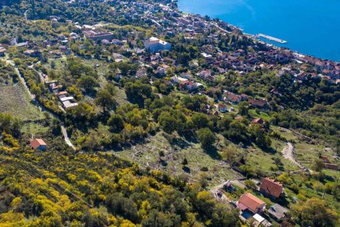 47761m² Land in Risan, Montenegro No. 67019 4