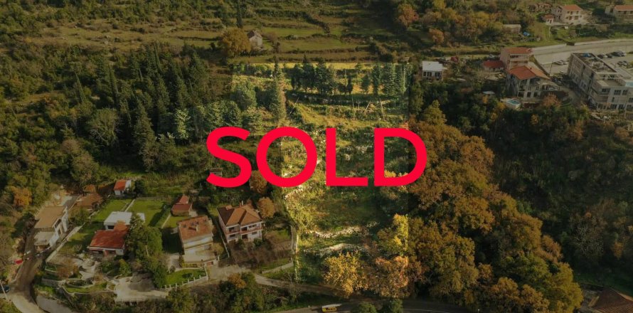 9000m² Land in Kotor, Montenegro No. 67020