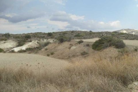 16177m² Land à Monagroulli, Cyprus No. 64249 3