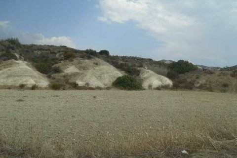 16177m² Land à Monagroulli, Cyprus No. 64249 4