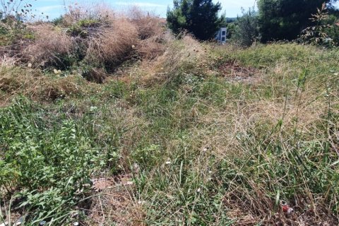 1000m² Land en Chalkidiki, Greece No. 55938 2