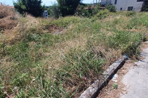 1000m² Land in Chalkidiki, Greece No. 55938 4