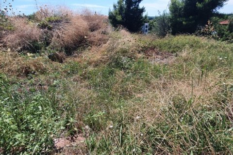 1000m² Land en Chalkidiki, Greece No. 55938 1