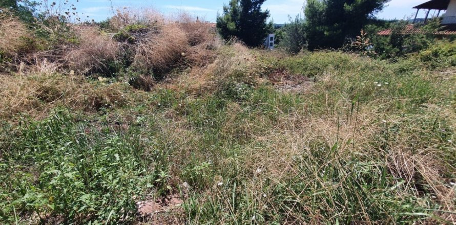 1000m² Land in Chalkidiki, Greece No. 55938