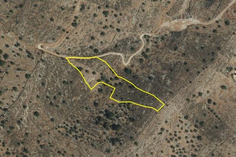 11228m² Land à Agios Nikolaos, Greece No. 55948 2