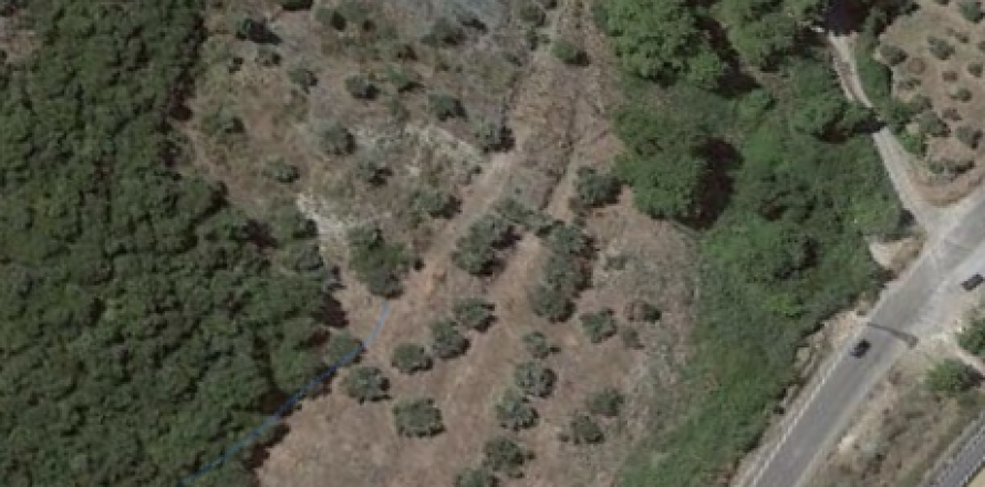 19117m² Land in Kamena Vourla, Greece No. 55599