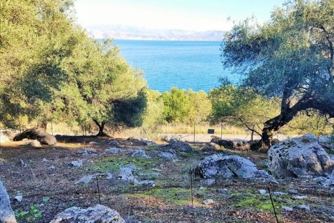 2 rooms Land in Corfu, Greece No. 57791 14