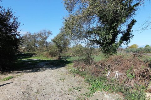 5000m² Land in Corfu, Greece No. 57775 2