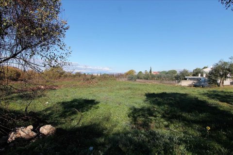 5000m² Land en Corfu, Greece No. 57775 10