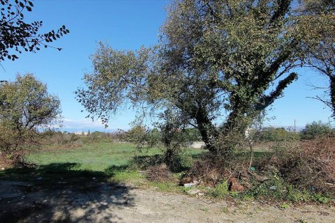 5000m² Land en Corfu, Greece No. 57775 3