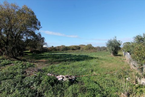 5000m² Land in Corfu, Greece No. 57775 1