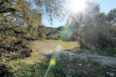 5000m² Land en Corfu, Greece No. 57775 4