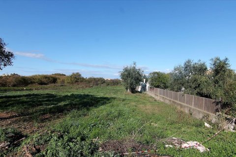 5000m² Land en Corfu, Greece No. 57775 9