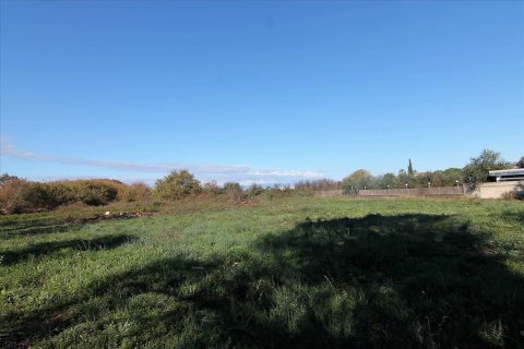 5000m² Land in Corfu, Greece No. 57775 6