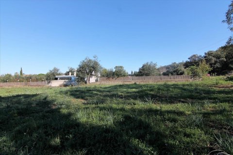 5000m² Land en Corfu, Greece No. 57775 7