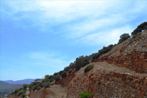 3373m² Land en Agios Nikolaos, Greece No. 59194 4