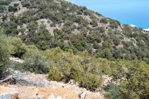 17934m² Land in Agios Nikolaos, Greece No. 59192 2