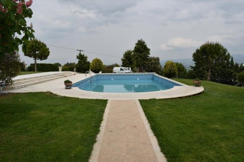 6 dormitorios Villa en Thermi, Greece No. 59921 5